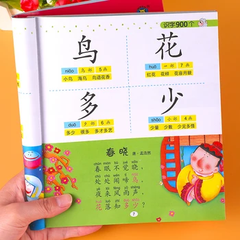 Чтение и грамотность для дошкольников 900 Простых и удобных в освоении книг по китайскому языку для детей школьного возраста 3-6 лет